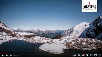 LOBSTERS - The new generation of taste!